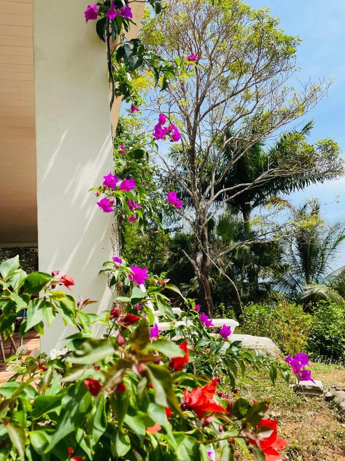 فندق Coibahouse سانتا كاتالينا المظهر الخارجي الصورة